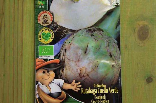 Graine écologique de chou-rave / nabicol rutabaga