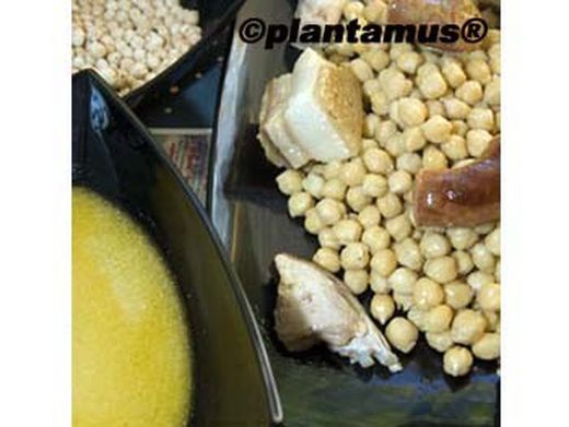 Graine de pois chiche bio