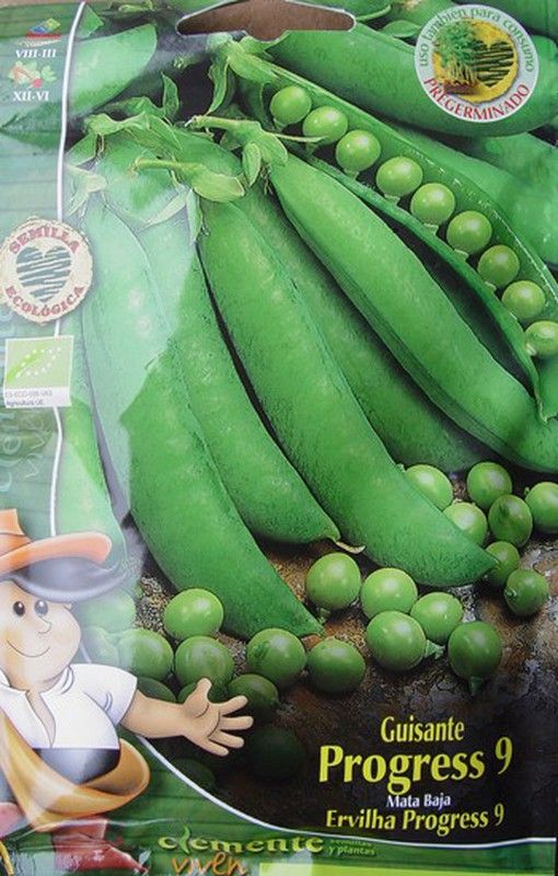 Semilla ecológica de guisante progress 9 bajo y temprano