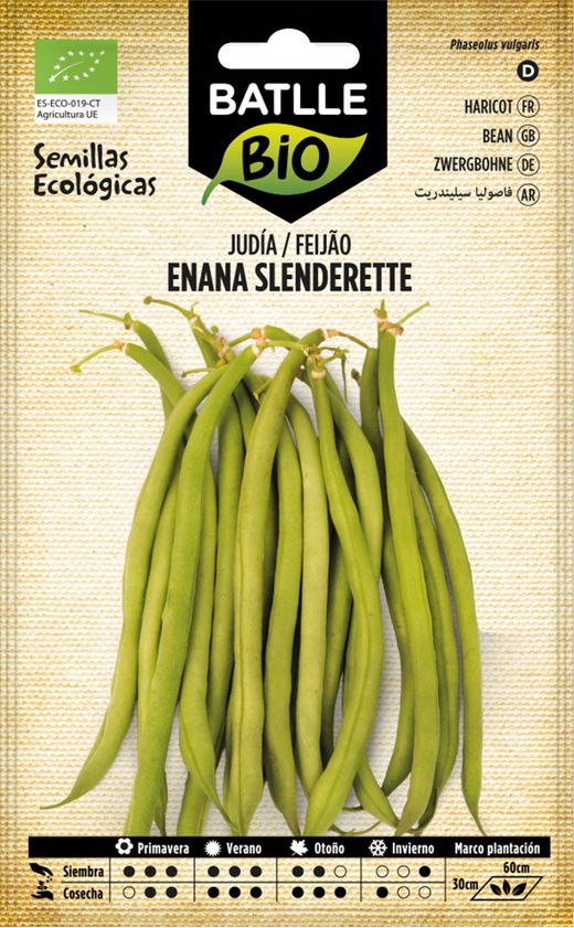Graine de haricot nain Slenderette biologique