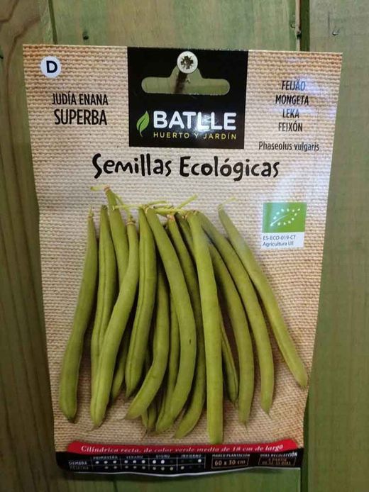 Semilla ecológica de judía enana superba