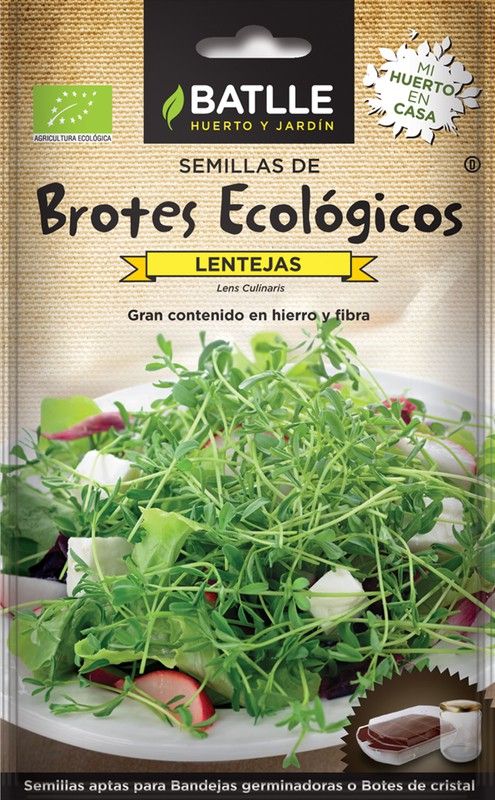 Semilla ecológica de lentejas, semillas para germinar