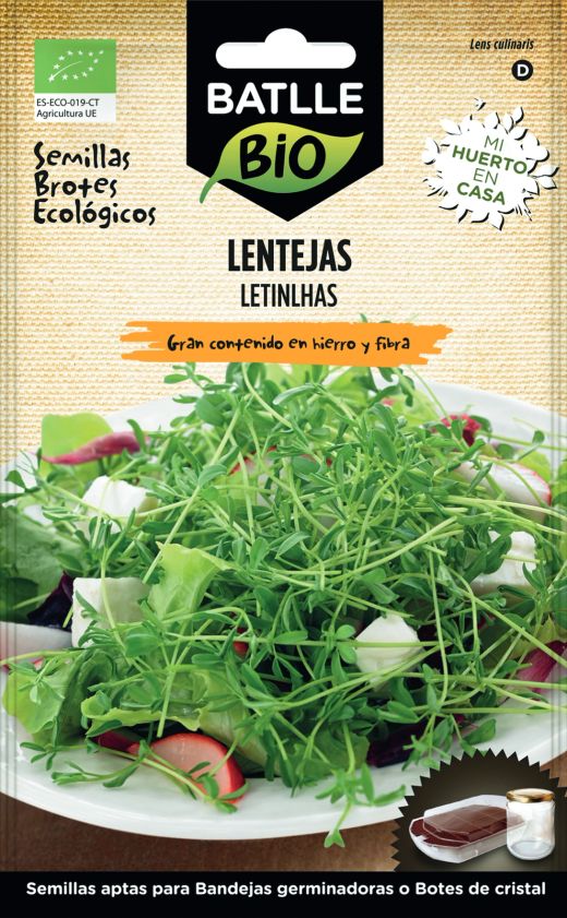 Graine de lentille biologique, graines à germer