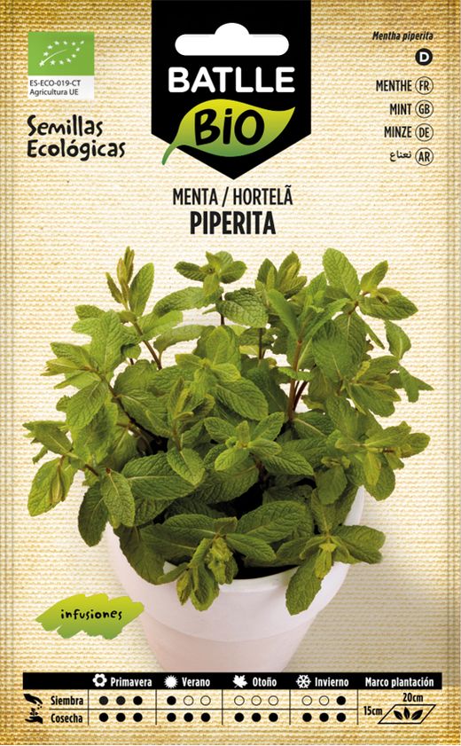 Graine de menthe poivrée biologique