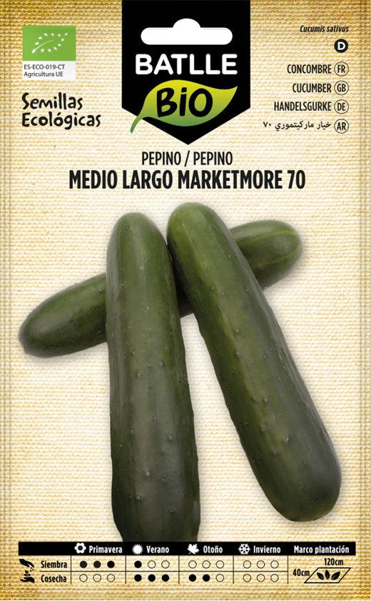 Semilla ecológica de pepino marketmore