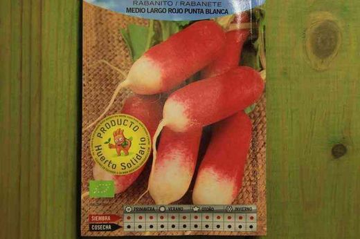 Semilla ecológica de rabanito medio largo rojo punta blanca