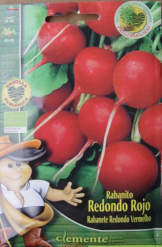 Graine écologique de radis rond rouge, Raphanus sativus