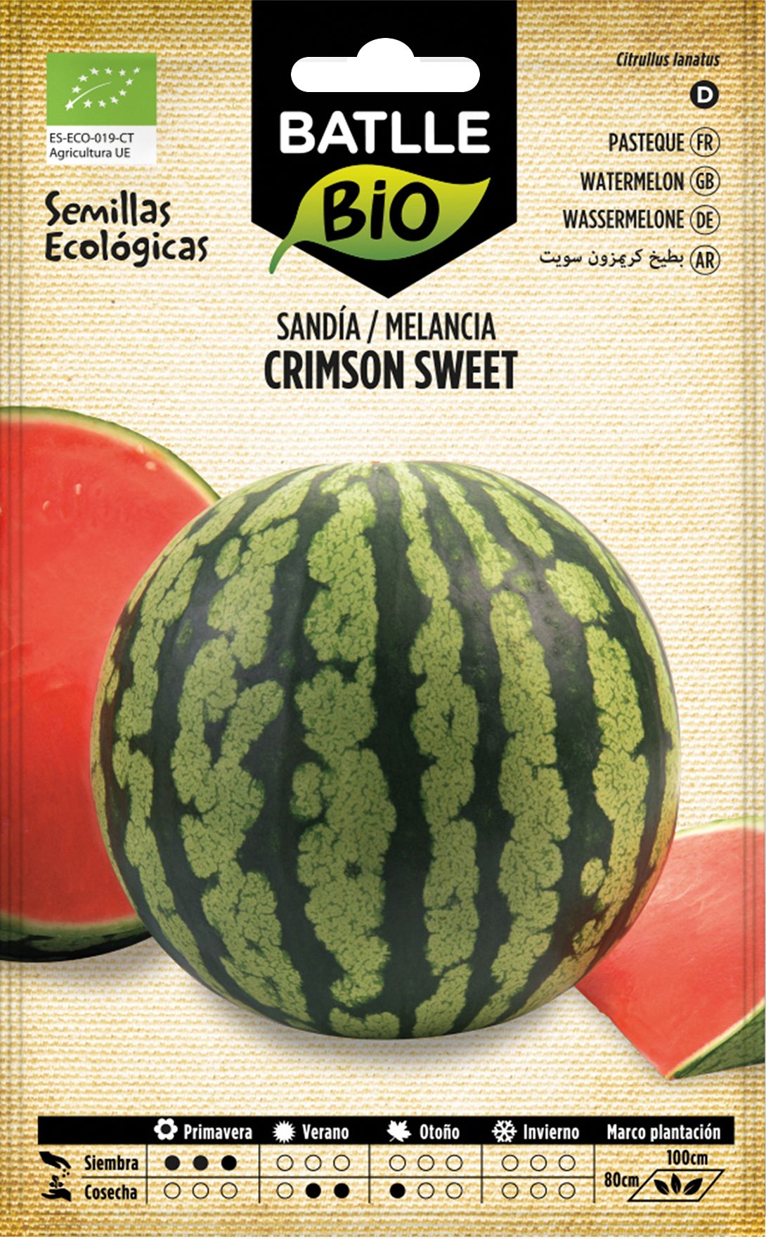 Semilla ecológica de sandía crimson sweet, melancia