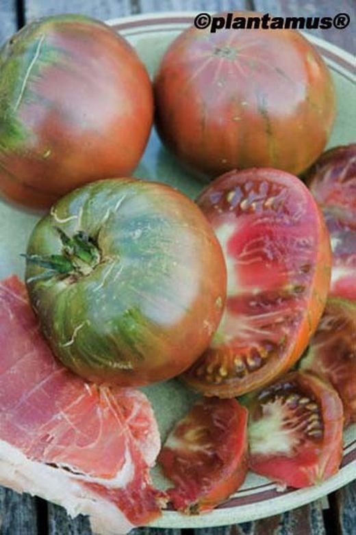 Semilla ecológica de tomate negro de crimea