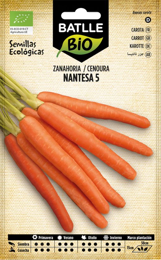 Semilla ecológica de zanahoria nantesa 5, cenoura