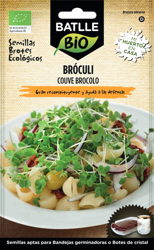Graine écologique pour faire germer le brocoli, germes culture facile