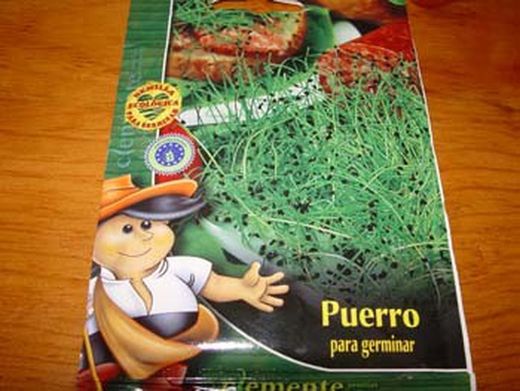 Semilla ecológica para germinar de puerro