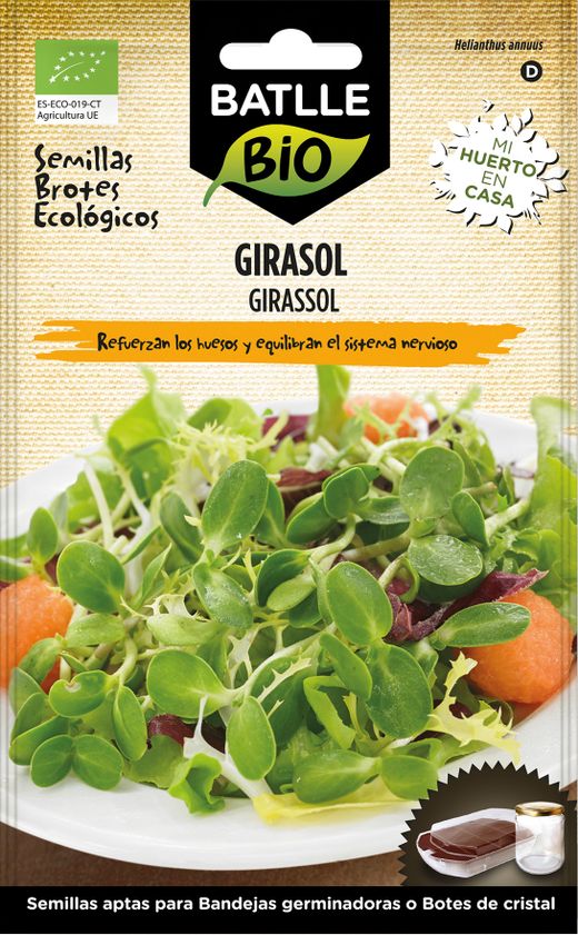 Graine écologique pour faire germer le tournesol