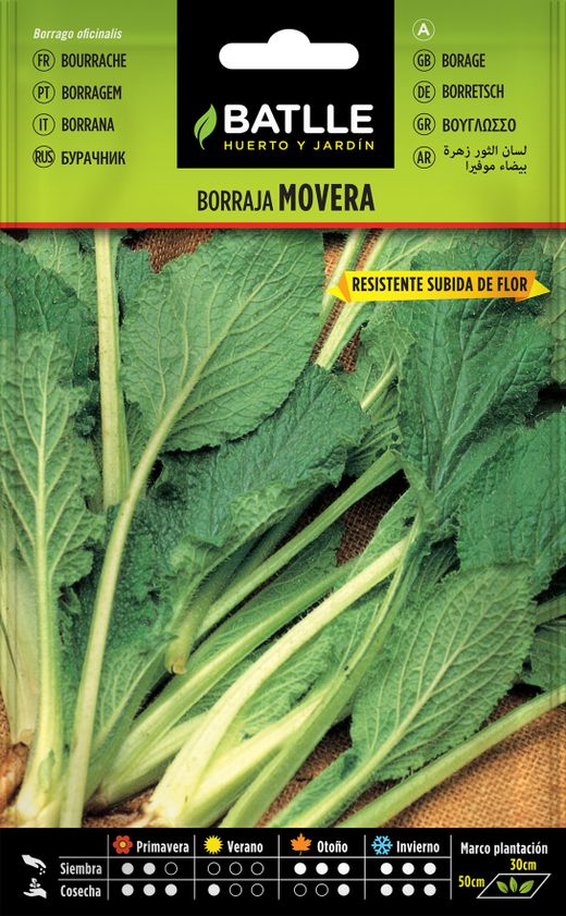 Semilla hortícola de borraja movera,erva borragem
