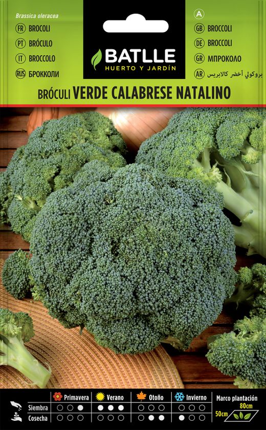 Semences horticoles de brocoli vert calabrese, brocoli couve, Brassica oleracea italica