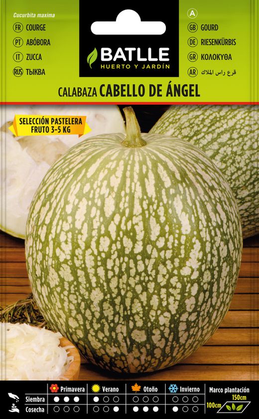 Semilla hortícola de calabaza cabello de angel selección pastelera