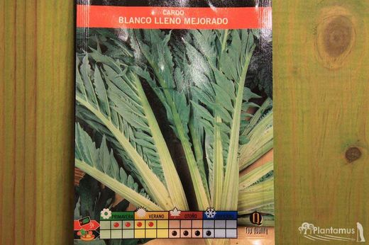 Semences horticoles de chardon blanc emballé amélioré