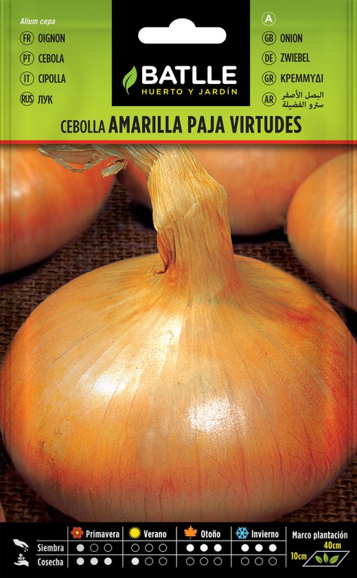 Sementes hortícolas de cebola amarela virtudes de palha, cebola, allium cepa