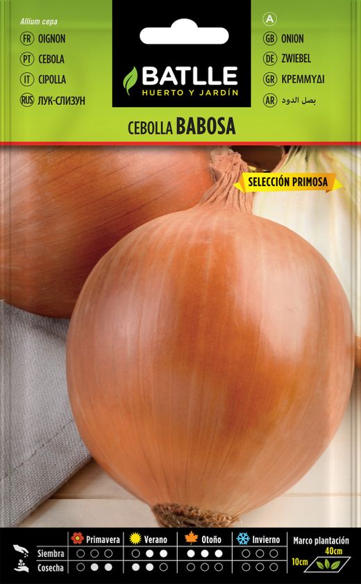 Semence horticole de limace d'oignon sel. primosa, cebola, allium cepa