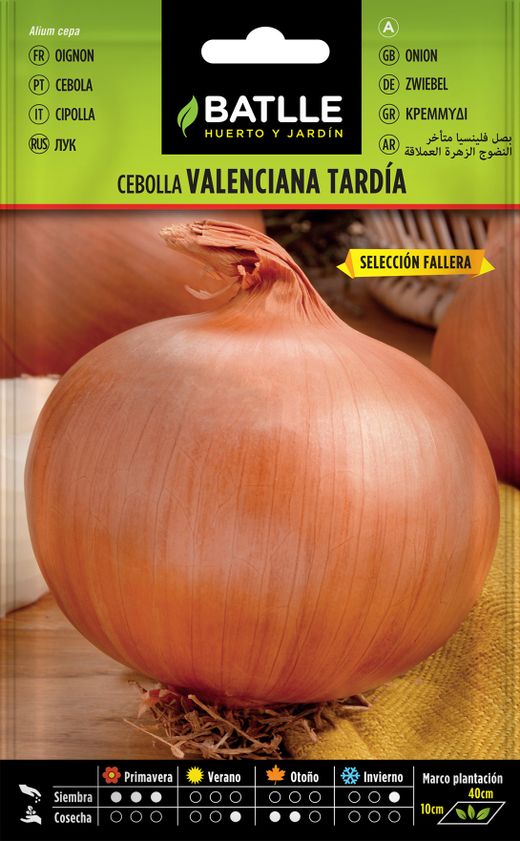 Semilla hortícola de cebolla valenciana de tarde sel. fallera.