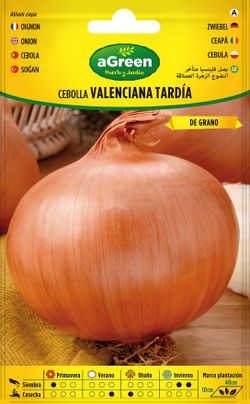 Semente hortícola da tarde Valencian sel. fallera.