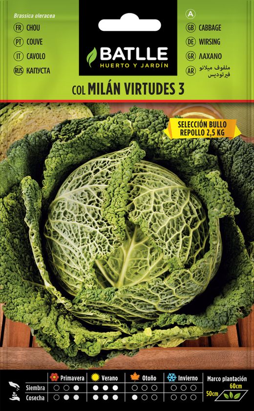 Semilla hortícola de col milan virtudes 3 sel. bullo, couve
