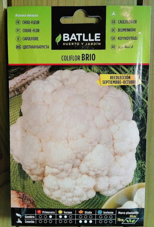 Semilla hortícola de coliflor brio