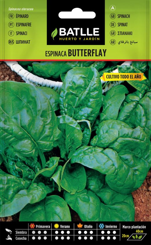 Semilla hortícola de espinaca butterflay, espinafre