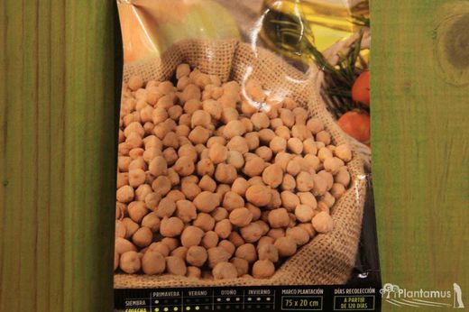 Semilla hortícola de garbanzo badil