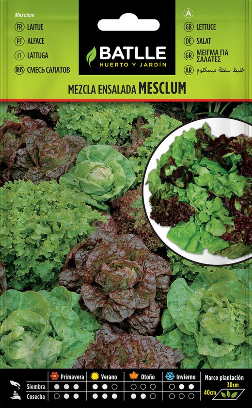 Semilla hortícola de lechuga mezcla de ensaladas mesclum, mistura de alfaces