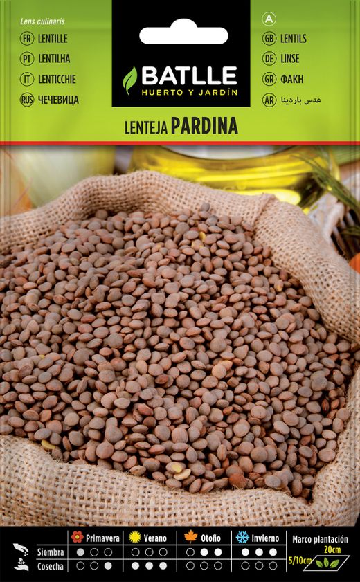 Semence horticole de lentille pardin