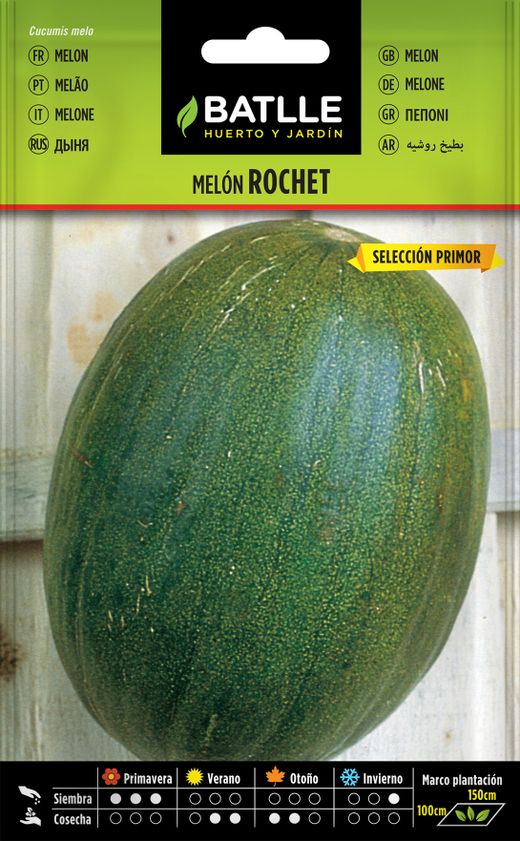 Semence horticole de melon rochet sel. beauté
