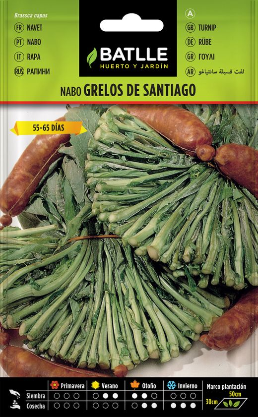 Semence horticole de navet navet Santiago, Brassica rapa l.