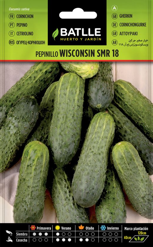 Semences horticoles de Wisconsin Gherkin SMR 18, concombre, Cucumis sativus
