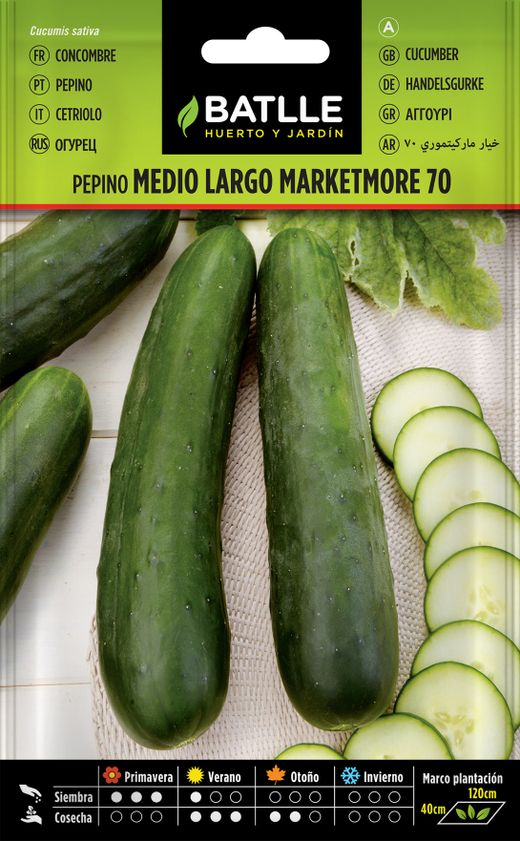 Marketmore 70 graines horticoles de concombre de longueur moyenne, Cucumis sativus