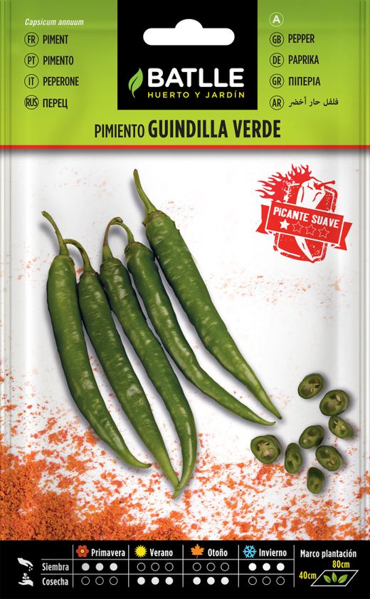 Semilla hortícola de pimiento guindilla verde picante, pimento, capsicum annuum