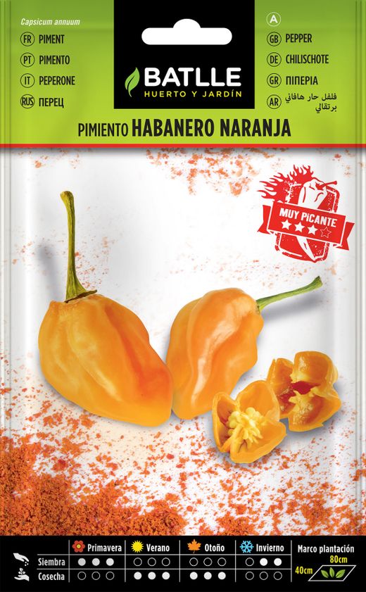 Graine horticole de piment habanero orange