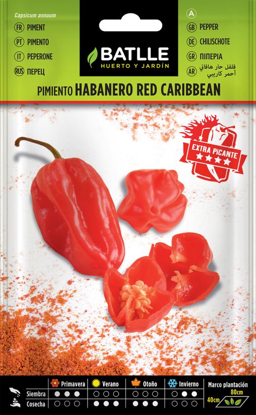 Semence horticole de piment habanero rouge des Caraïbes