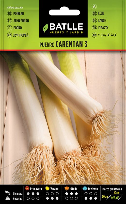 Il manque 3 graines de poireau horticole, alho porro, allium porru