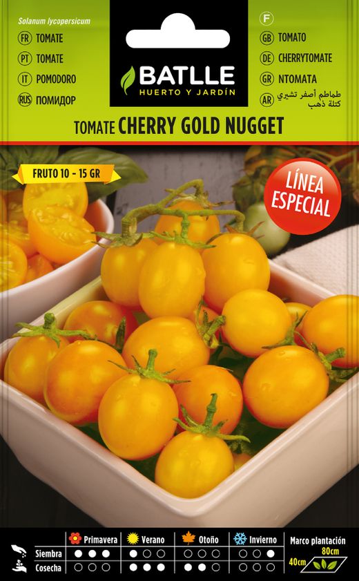 Semence horticole de pépite d'or de cerise jaune tomate