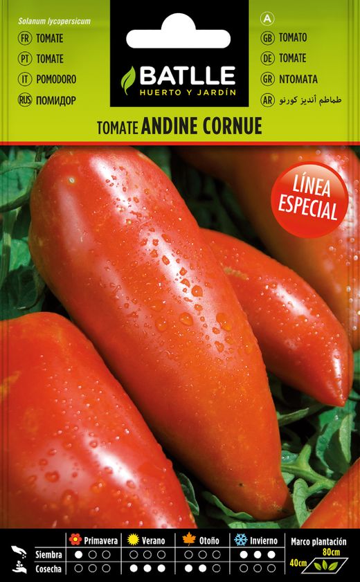 Semilla hortícola de tomate andine cornue de los andes