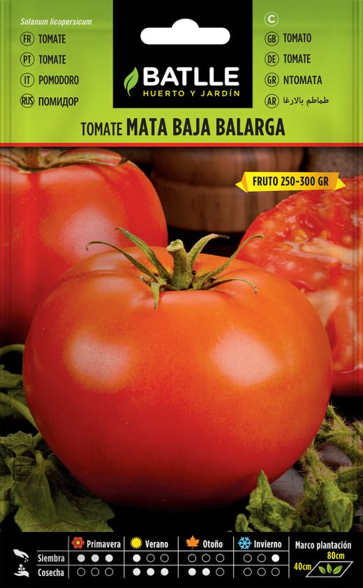Semence horticole de tomate Balarga