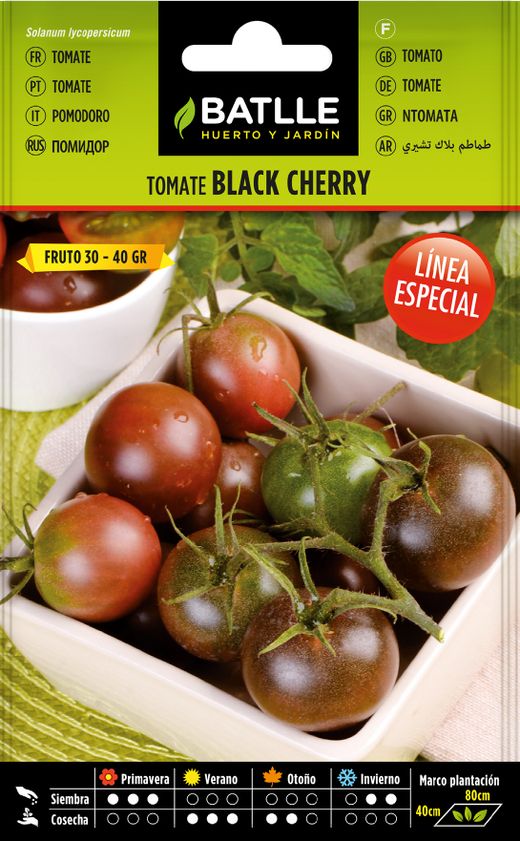 Semilla hortícola de tomate black cherry