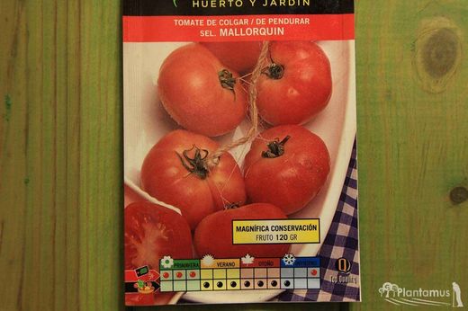 Semilla hortícola de tomate de colgar sel. mallorquin