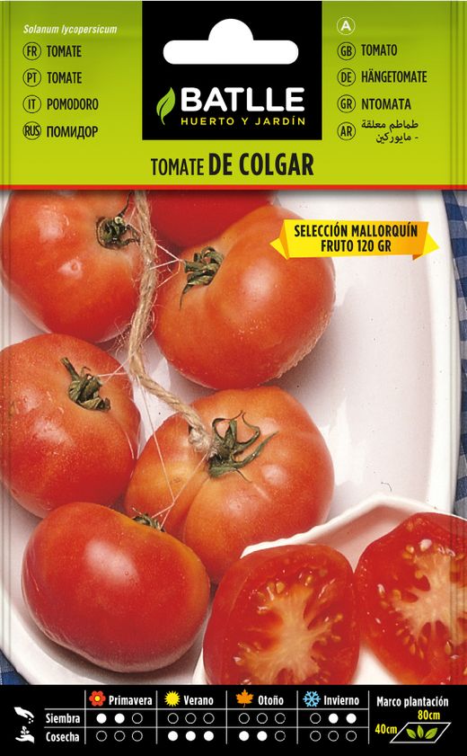 Semence de tomate horticole suspendue sel. Majorquin