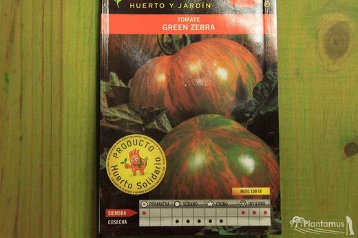 Semilla hortícola de tomate green zebra-tigre