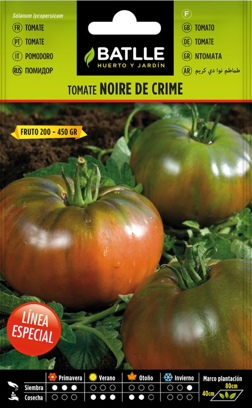 Semence de tomate horticole noire de crime