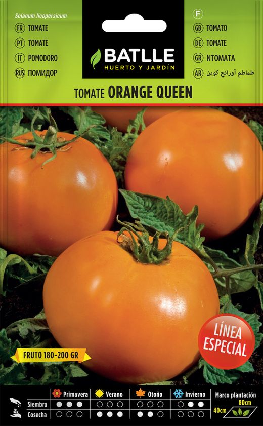 Semilla hortícola de tomate orange queen
