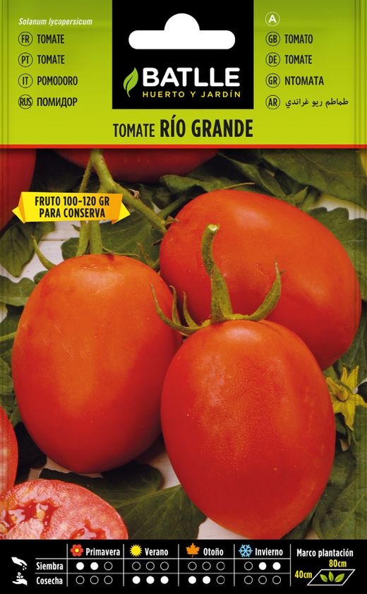 Semente de tomate para horticultura Rio Grande