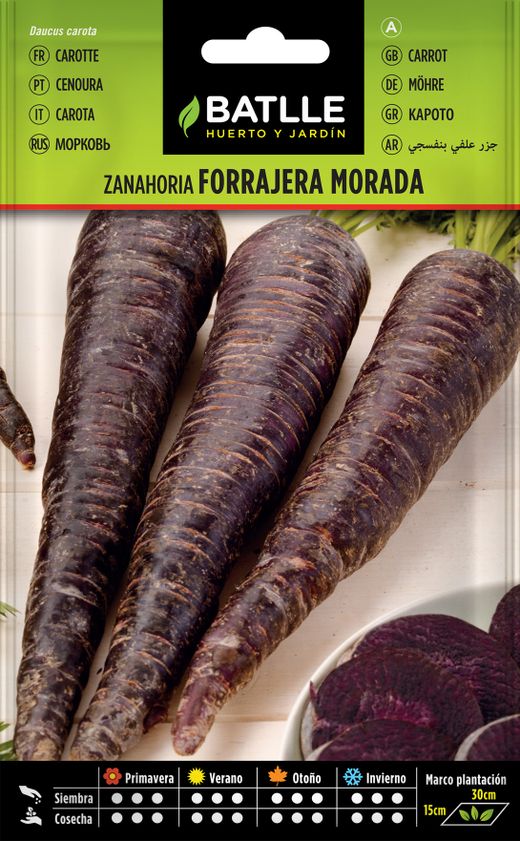 Semence horticole de carotte violette, Cenoura roxa, Daucus carota